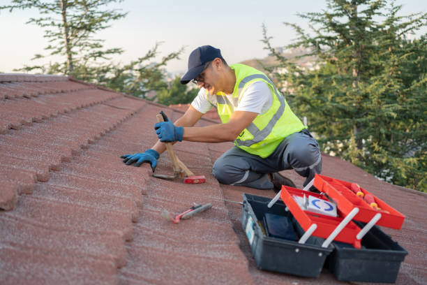 Best Flat Roof Repair Services  in Grand Rapids, MI